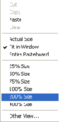      Pointer